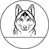 12. Sibírsky husky