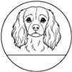 20. Kavalier King Charles španiel