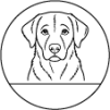 16. Labradorský retriever