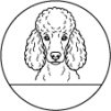 7. Pudel