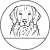 6. Zlatý retriever