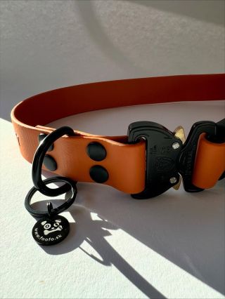 Ďalšia objednávočka práve putuje k svojmu novému psiemu majiteľovi! 🥳🐾 Nastaviteľný obojok FOoFO v energickej...