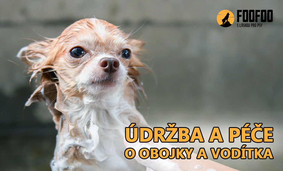 FOOFOO---udrzba-a-pece-o-obojky-a-voditka-foofoo---01