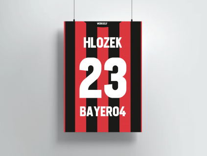 Bayer04 Hlozek1