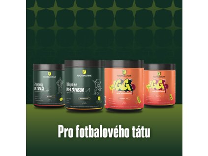 17 Vanocni balicek tata2 (1)