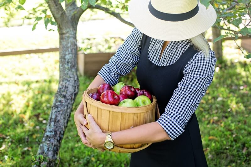 Vegan apples