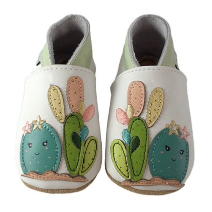 Kaktus vorne Schuhe