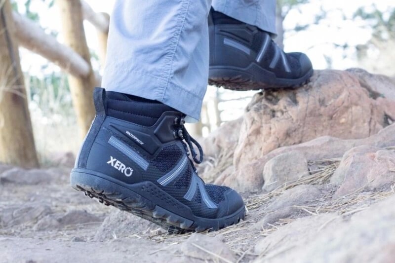 xero