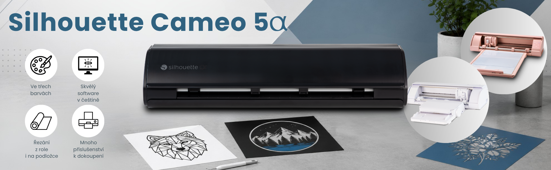 cameo5 alpha
