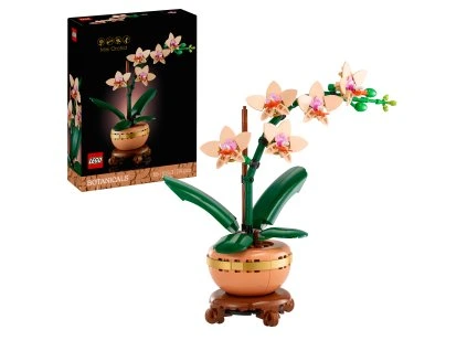 10343 boxprod v29 WE