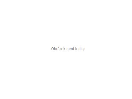 NGT Plastické Olovo Tungsten Putty + Sleva 10% za registraci