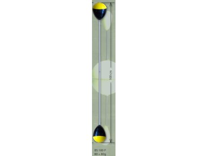 BS100P kopie (2)