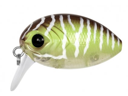 5gld000101 4b9c46e8cb2a65a34e8132d7ea0d3ab8