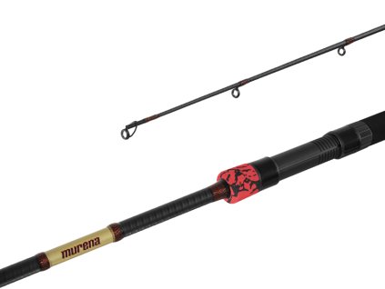 Delphin MURENA POWER (Velikost 240cm/125g/2 díly)