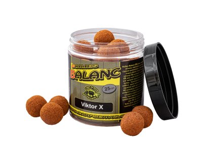 CSV Boilies Balanc - 120 g/25 mm/Viktor X