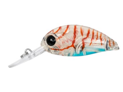 8gld000101 a6f0675d747eab16f17eceb52eac670b