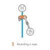 Blokant s kladkou Climbing Technology RollNLock