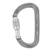 Petzl Am’D Screw Lock