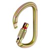 Petzl Vulcan Screw Lock