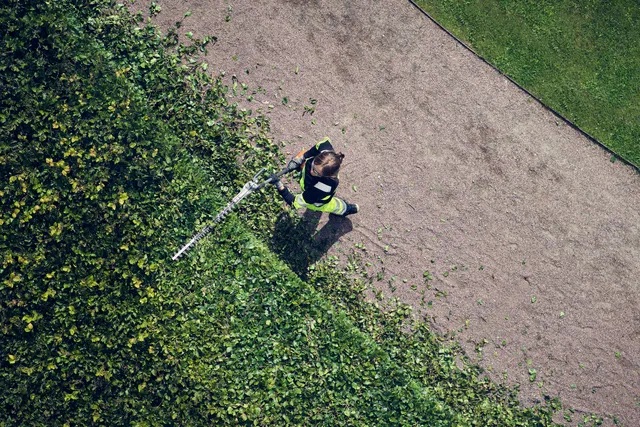 Dlouhý dosah nůžek