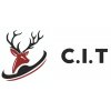 C.I.T. logo