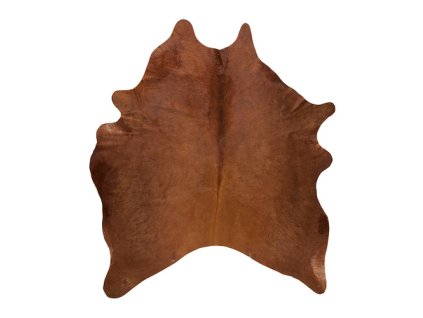 Hovězí kůže hnědá