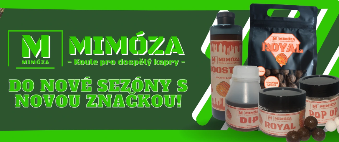 mimoza