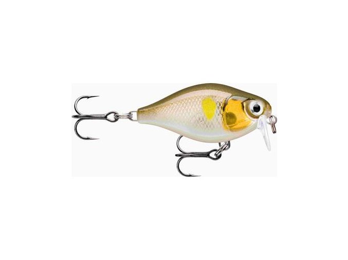 429EC9BF AA6D 4950 B94A 6FEBD05DAC40 FNCS03 AYU