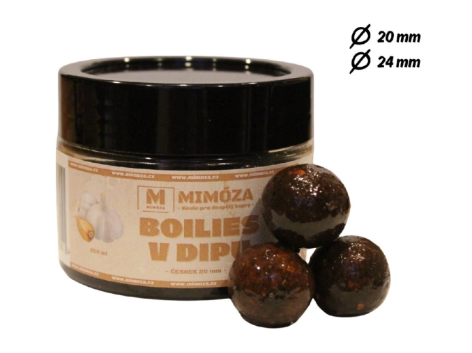 Dipované boilies česnek