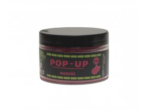 pop moruše