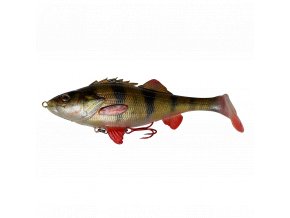 61795 perch perch shad2