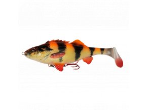 61795 albino perch shad2