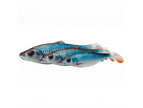 57465 herring shad
