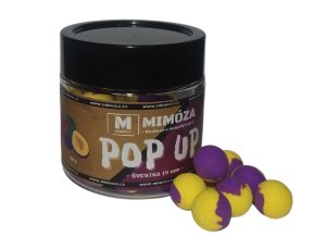 TwoTone Fluo Pop up Švestka