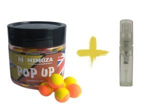 TwoTone Fluo Pop up + Esence Scopex