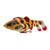 61795 fire tiger perch shad2