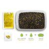Pellet box Delphin Reaxe READY&GO Kukuřice+Ananas3