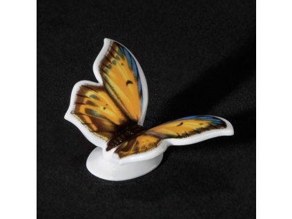 Aelteste Volkstedter Porcelánový motýl Ohniváček černokřídlý