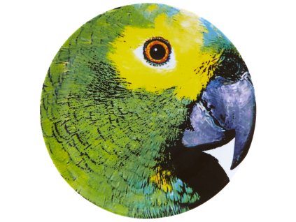 Vista Alegre Olhar o Brasil Podkladový talíř Parrot