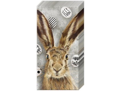 IHR OH MY RABBIT … papírové kapesníky