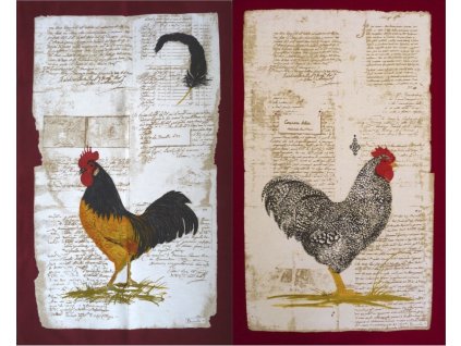 Beauvillé Poule et Coq Littéraires Sada 2 utěrek 50x80 cm