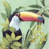 IHR TOUCAN IN PARADISE papírové ubrousky