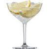 Sklenice na koktejl sada 2 kusy DESTILLE NO. 1 BY CHARLES SCHUMANN, Zwiesel Glas