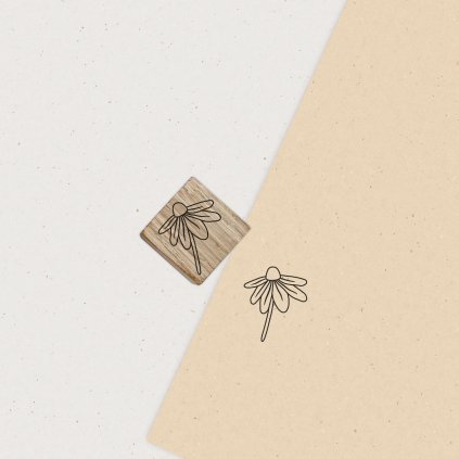 drevene razitko echynacea