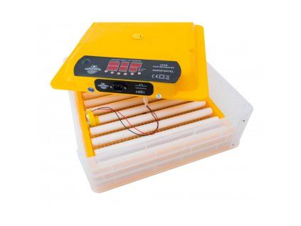 WQROL 750x750