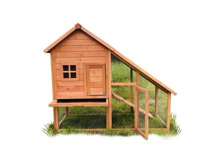 image%20(3) 750x750