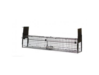 T W105 750x750