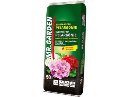 pelargonie 750x750
