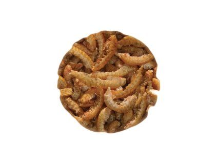 gammarus 750x750