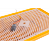 WQ24 1 750x750
